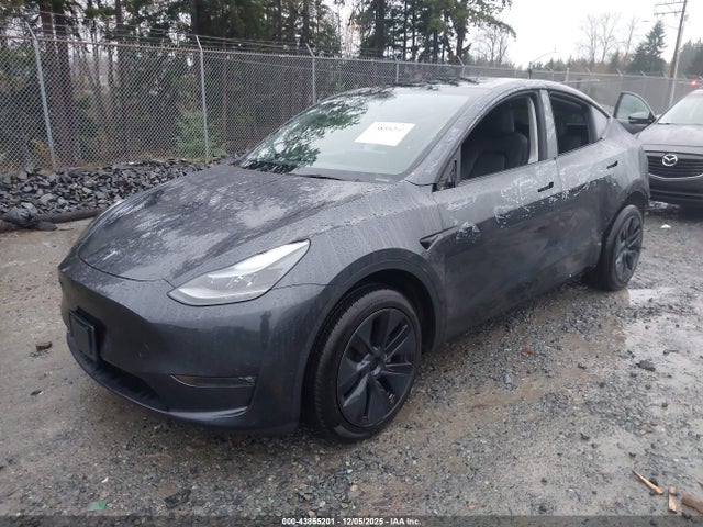 2024 TESLA MODEL Y 7SAYGDEE0RF195108 Photo 1