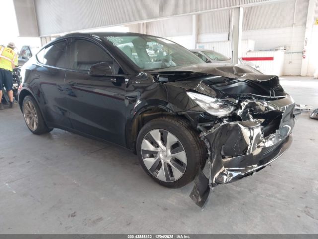 2023 TESLA MODEL Y 7SAYGDEE0PA086951
