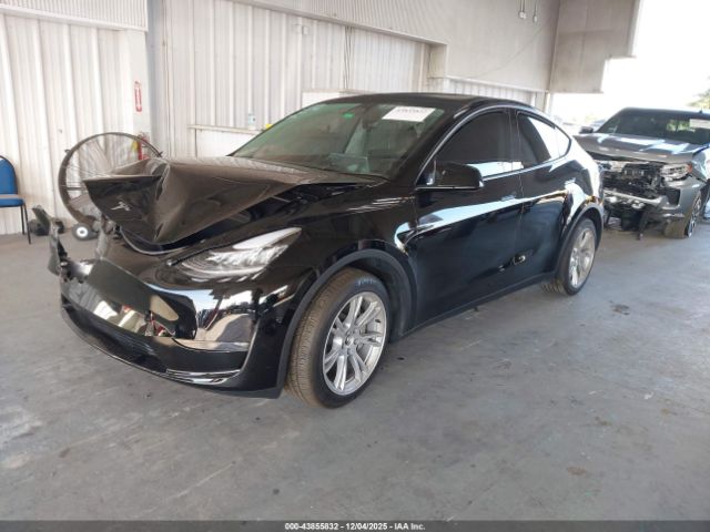 2023 TESLA MODEL Y 7SAYGDEE0PA086951 Photo 1