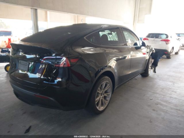 2023 TESLA MODEL Y 7SAYGDEE0PA086951 Photo 3