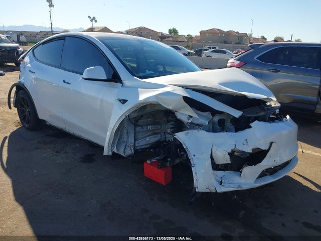 2020 TESLA MODEL Y 5YJYGDEE1LF035310 Photo 0