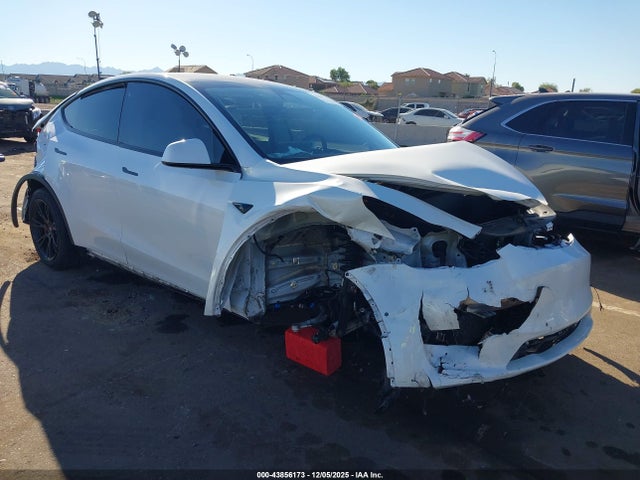 2020 TESLA MODEL Y 5YJYGDEE1LF035310 Photo 5