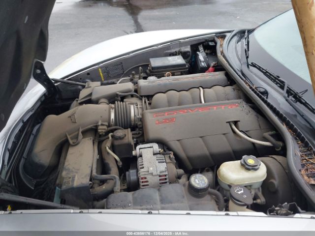 2009 CHEVROLET CORVETTE 1G1YY36W595109765 Photo 9