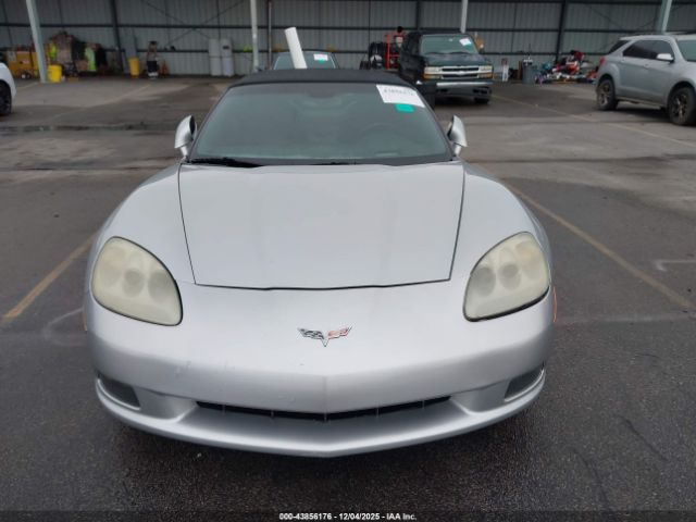 2009 CHEVROLET CORVETTE 1G1YY36W595109765 Photo 5