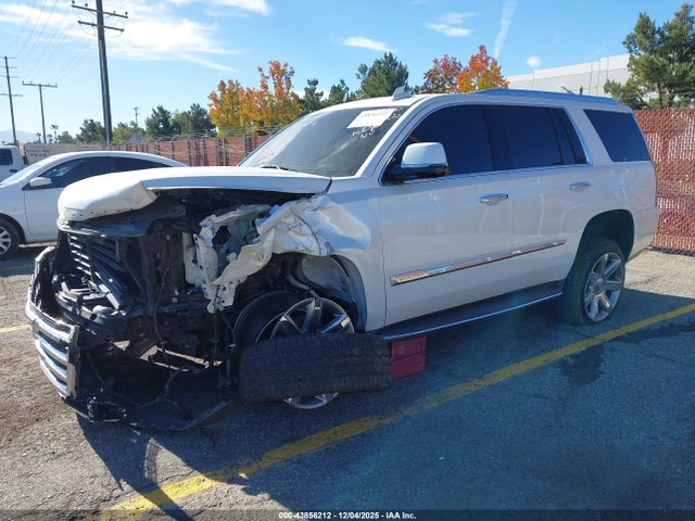 2017 CADILLAC ESCALADE 1GYS4CKJ7HR282823 Photo 1