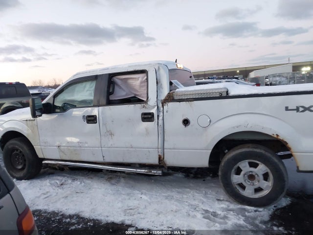 Auction sale of the 2014 Ford F-150 Xlt, vin: 1FTFW1EF7EFC43935, lot number: 43856267