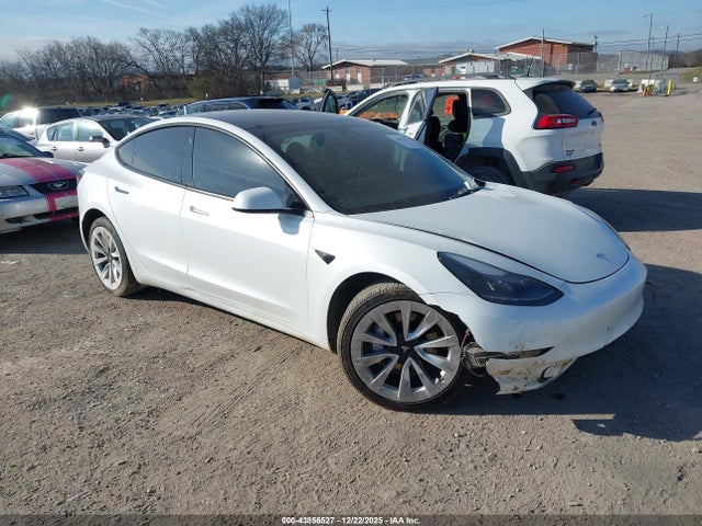 2023 TESLA MODEL 3 5YJ3E1EA8PF541492 Photo 0