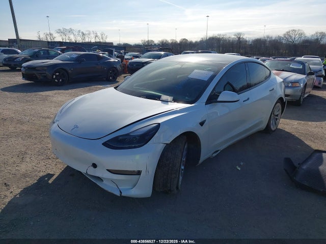 2023 TESLA MODEL 3 5YJ3E1EA8PF541492 Photo 1