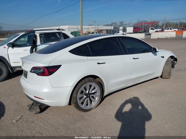 2023 TESLA MODEL 3 5YJ3E1EA8PF541492 Photo 3
