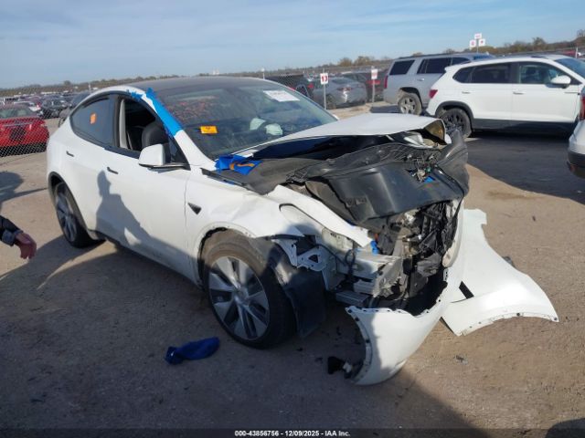 2022 TESLA MODEL Y 7SAYGDEE9NA015681