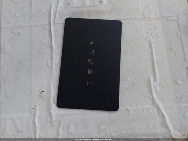 2019 TESLA MODEL 3 5YJ3E1EB3KF495698 Photo 10