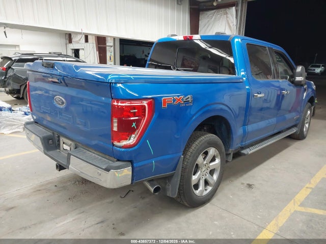 1FTFW1ED4MFC63900 Ford F-150 Xlt