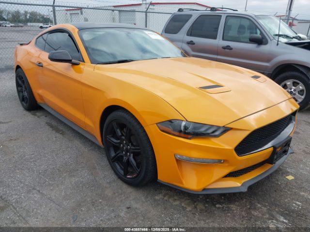 2019 FORD MUSTANG 1FA6P8TH3K5147740