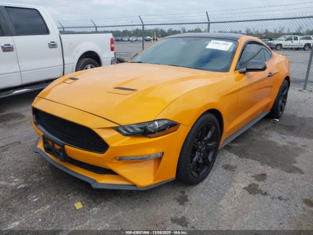 2019 FORD MUSTANG 1FA6P8TH3K5147740 Photo 1