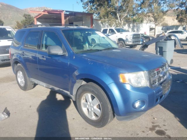 2009 FORD ESCAPE 1FMCU03G69KA52319