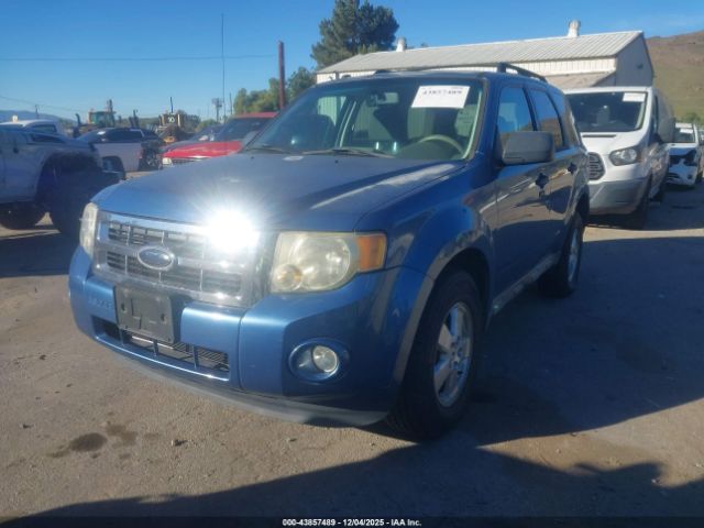 2009 FORD ESCAPE 1FMCU03G69KA52319 Photo 1
