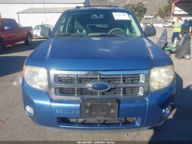2009 FORD ESCAPE 1FMCU03G69KA52319 Photo 5