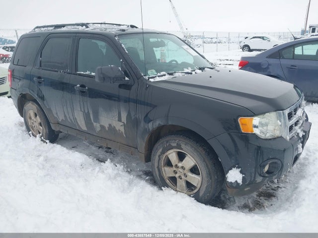 2011 FORD ESCAPE 1FMCU9D79BKA85520