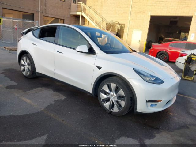 2021 TESLA MODEL Y 5YJYGDEE7MF231852