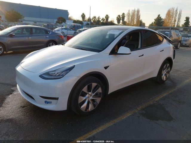 2021 TESLA MODEL Y 5YJYGDEE7MF231852 Photo 1