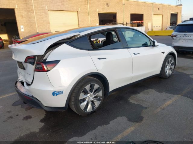2021 TESLA MODEL Y 5YJYGDEE7MF231852 Photo 3