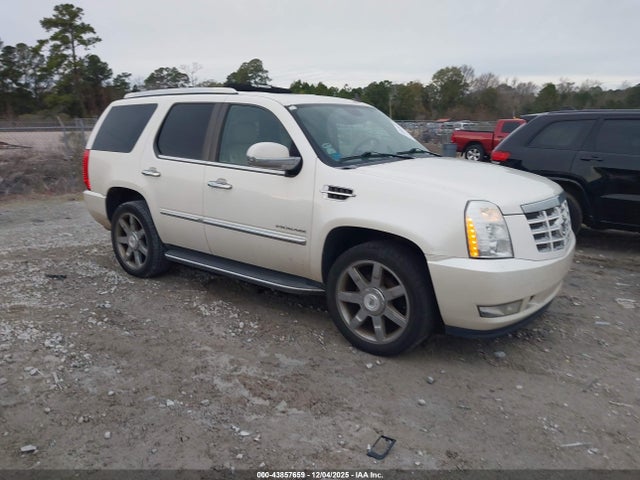 2010 CADILLAC ESCALADE 1GYUKBEF2AR213298 Photo 0