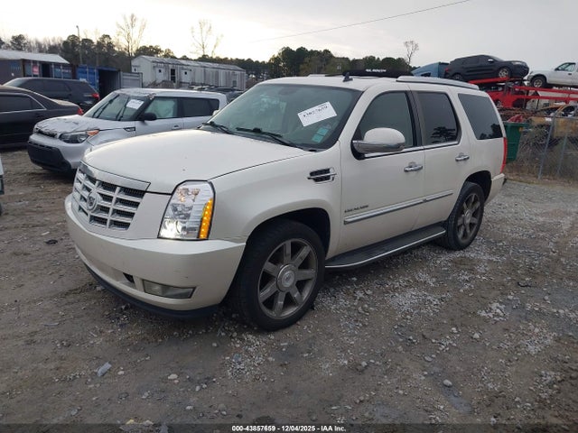 2010 CADILLAC ESCALADE 1GYUKBEF2AR213298 Photo 1