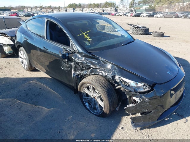 2023 TESLA MODEL Y 7SAYGDEE0PA184670 Photo 0