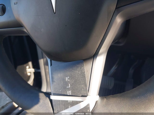 2023 TESLA MODEL Y 7SAYGDEE0PA184670 Photo 10