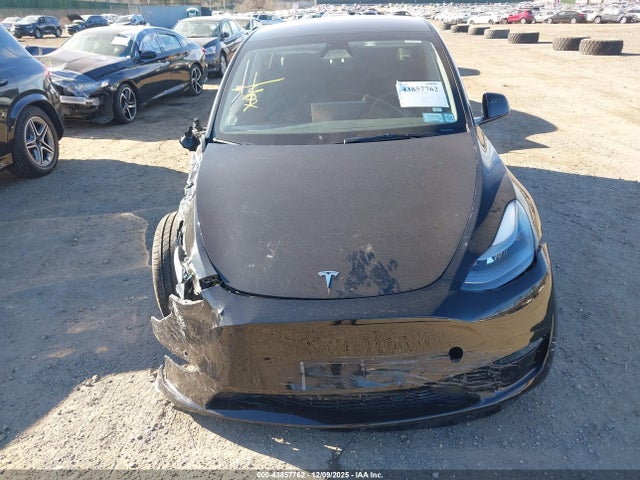 2023 Tesla Model Y Awd/long Range Dual Motor All-wheel Drive მანქანა იყიდება აუქციონზე, vin: 7SAYGDEE0PA184670, აუქციონის ნომერი: 43857762