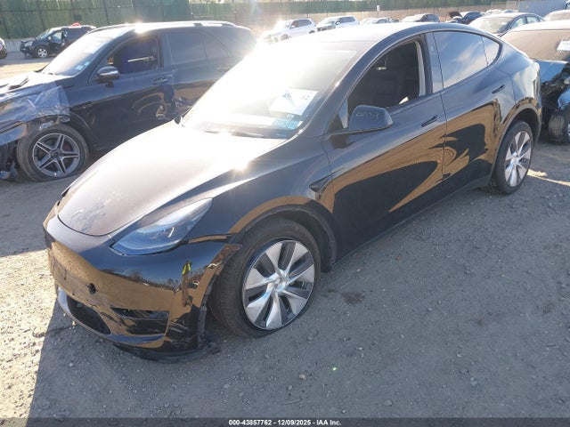 2023 TESLA MODEL Y 7SAYGDEE0PA184670 Photo 1