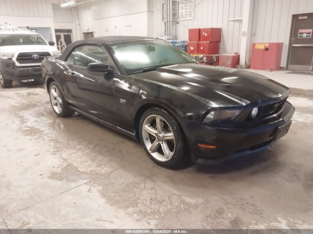 2010 FORD MUSTANG 1ZVBP8FH7A5126504