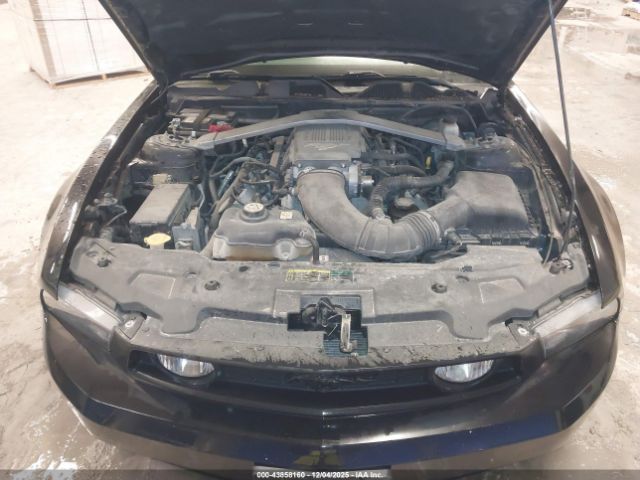 2010 FORD MUSTANG 1ZVBP8FH7A5126504 Photo 9