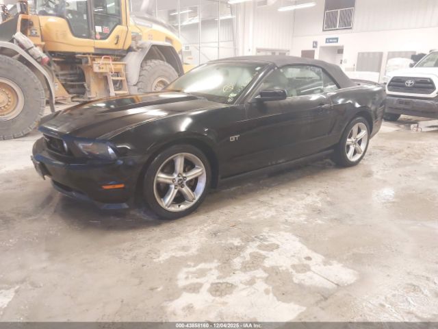 2010 FORD MUSTANG 1ZVBP8FH7A5126504 Photo 1