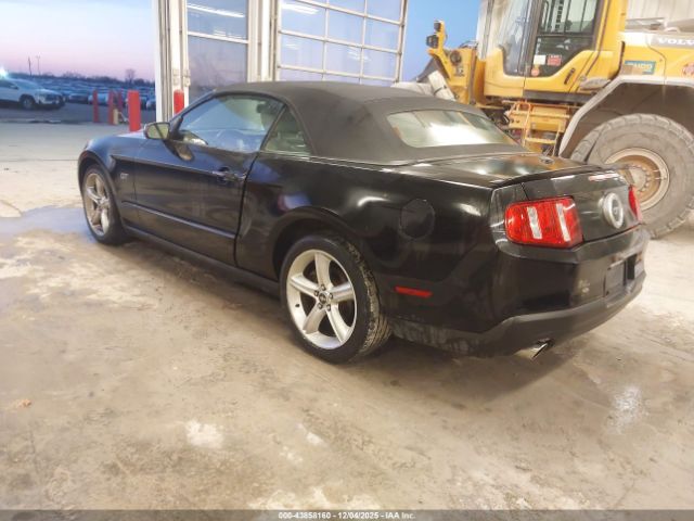 2010 FORD MUSTANG 1ZVBP8FH7A5126504 Photo 2