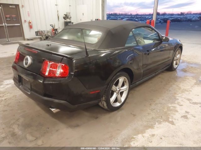 2010 FORD MUSTANG 1ZVBP8FH7A5126504 Photo 3
