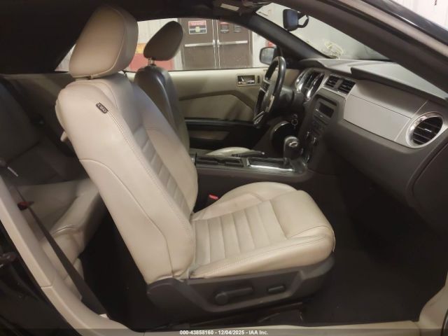 2010 FORD MUSTANG 1ZVBP8FH7A5126504 Photo 4