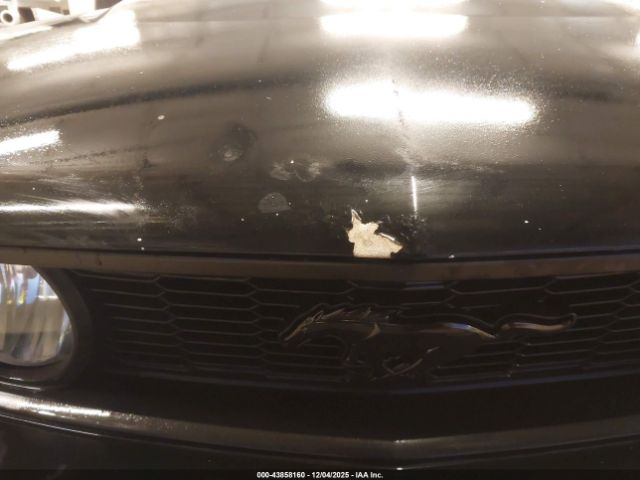 2010 FORD MUSTANG 1ZVBP8FH7A5126504 Photo 5