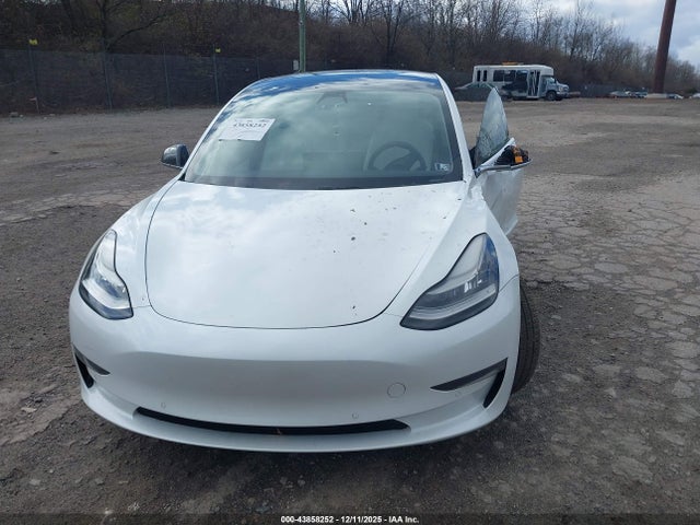 Tesla Model 3 Long Range/mid Range/standard Range/standard Range Plus 2019 5YJ3E1EA9KF486432 Image 13