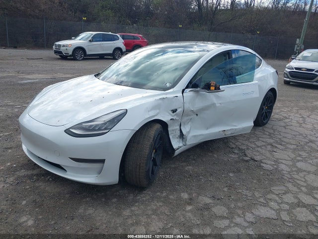 2019 TESLA MODEL 3 5YJ3E1EA9KF486432 Photo 1