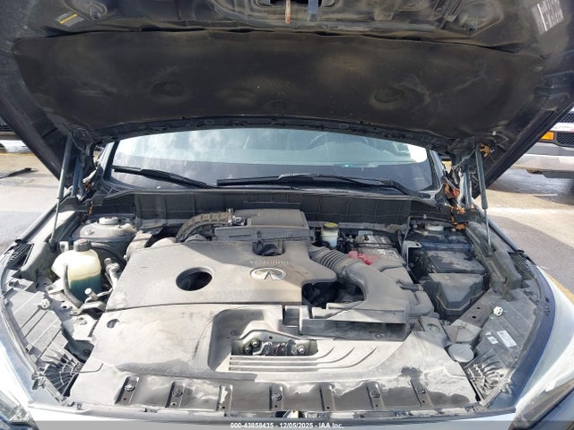 2019 INFINITI QX50 3PCAJ5M12KF133087 Photo 9