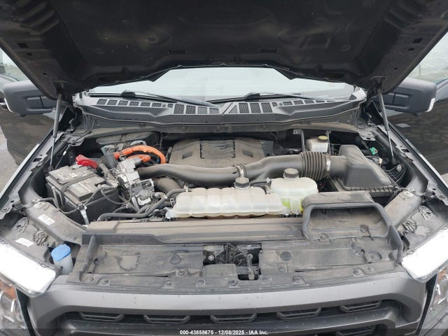 43858675 :رقم المزاد ، 1FTFW1ED3PFA74109 vin ، 2023 Ford F-150 Xlt مزاد بيع