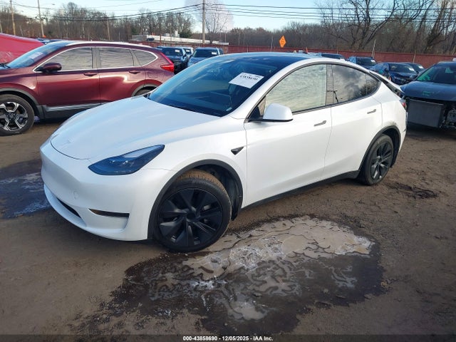 2024 TESLA MODEL Y 7SAYGDED2RF160531 Photo 1