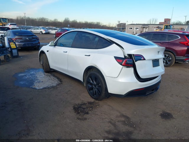 2024 TESLA MODEL Y 7SAYGDED2RF160531 Photo 2