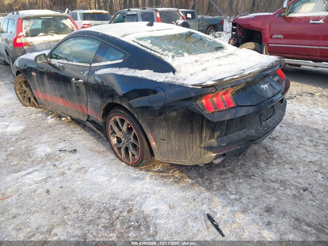 2024 FORD MUSTANG 1FA6P8TH2R5102802 Photo 2