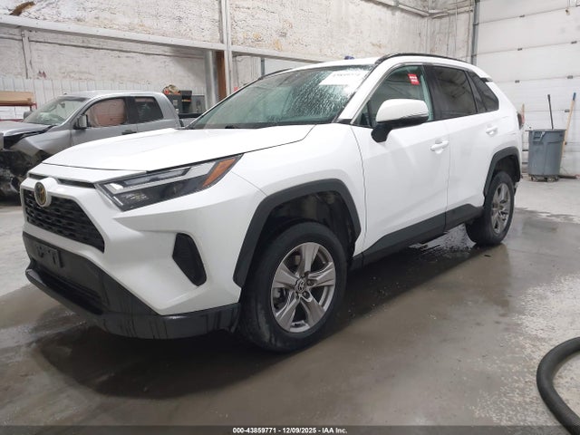 Toyota Rav4 Xle 2022 2T3P1RFV7NW256030 Image 2