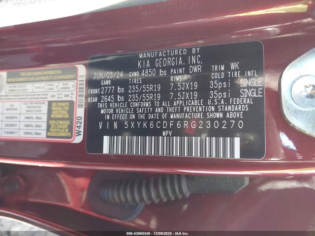 2024 Kia Sportage X-line მანქანა იყიდება აუქციონზე, vin: 5XYK6CDF6RG230270, აუქციონის ნომერი: 43860349