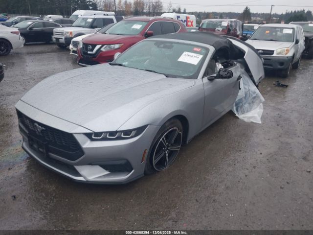 2024 FORD MUSTANG 1FAGP8UH9R5141003 Photo 1