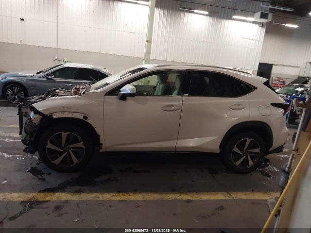 JTJYARBZ2J2096054 Lexus NX 300