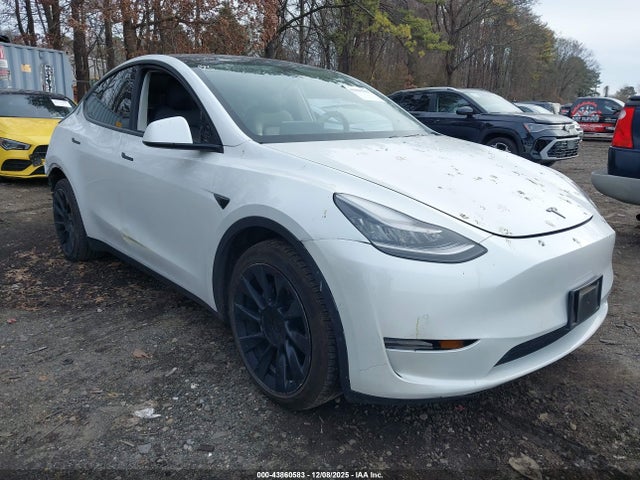 2021 TESLA MODEL Y 5YJYGDEE6MF077084 Photo 0